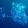 Make Heart Health a Priority